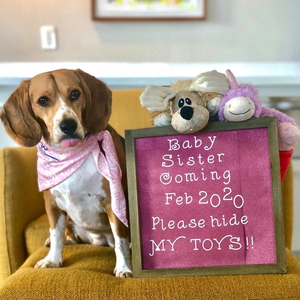 Meet your Posher, Eddie